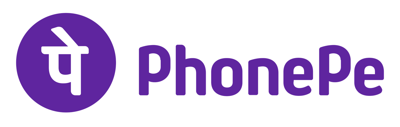 PhonePe Logo e1708983724620