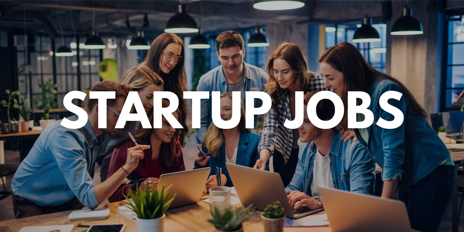Startup Jobs