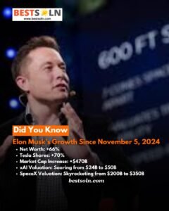 Elon Musk's Growth Since November 5, 2024
